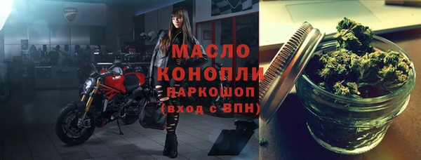 индика Михайлов