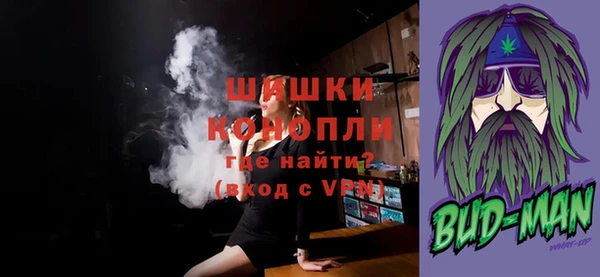 индика Михайлов