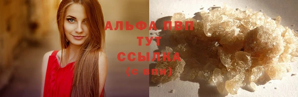 дурь Магас