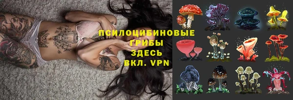прущая мука Магадан